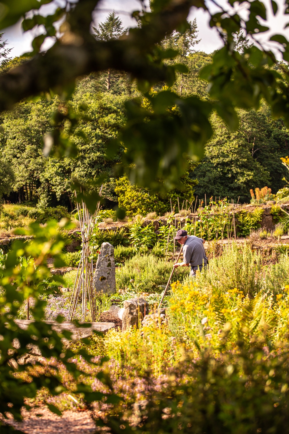 Garden Tour & Lunch